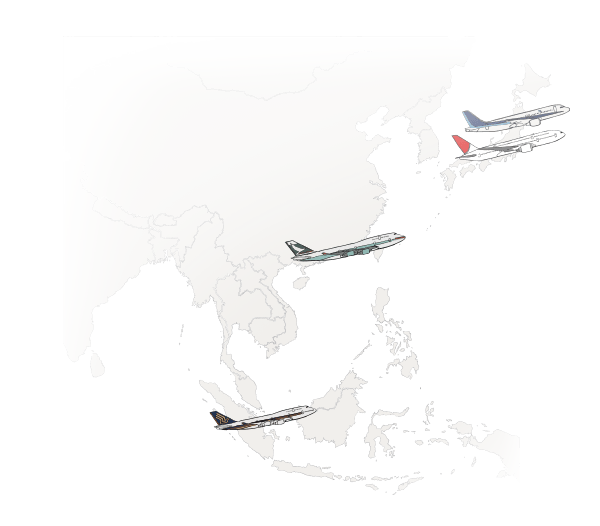 Different Airline Partner