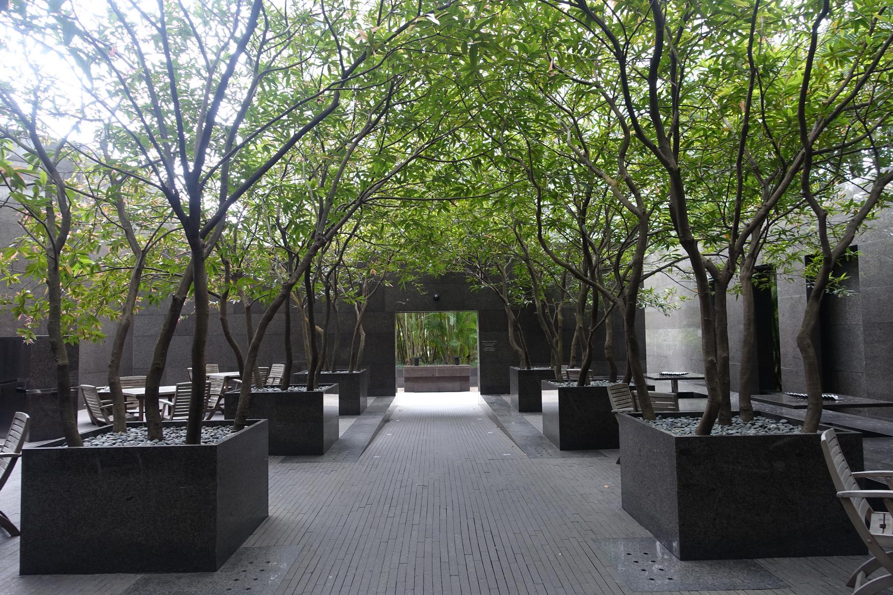 A modern outdoor hotel terrace features rows of trees in dark planters, a paved walkway, and dining tables.