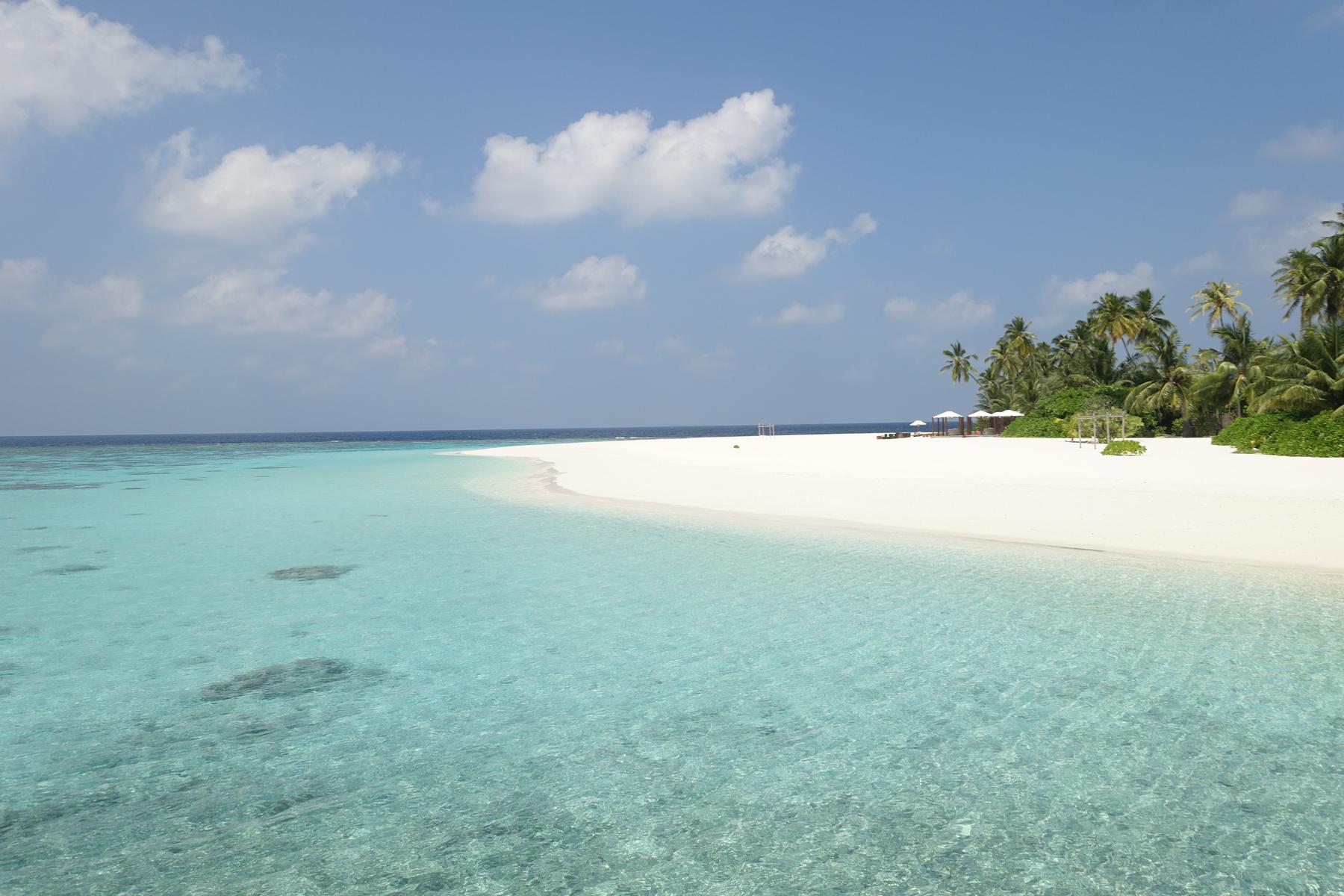 A tropical white sand beach with clear turquoise water and palm trees under a blue sky.