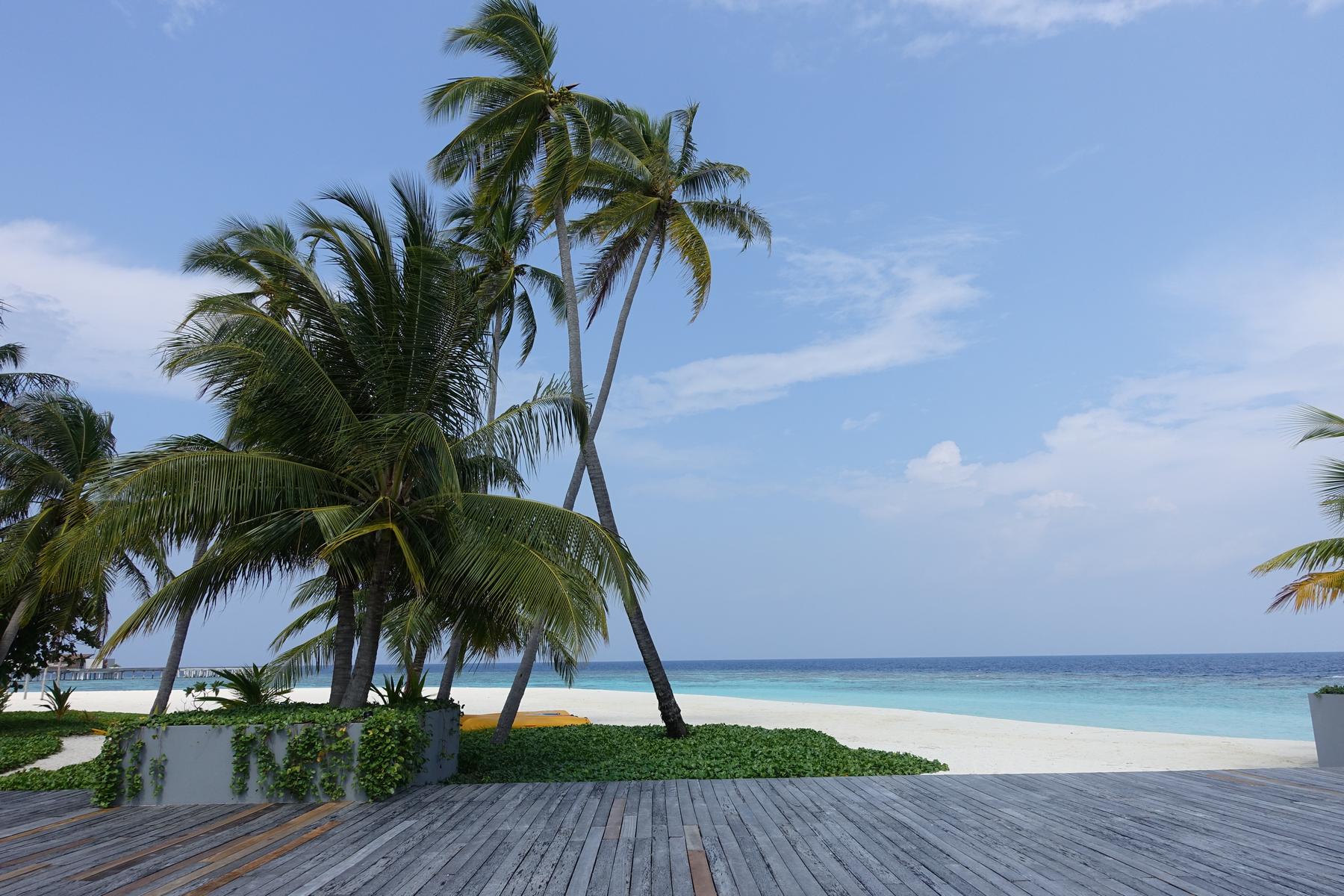 A wooden deck overlooks a white sand beach with palm trees and the turquoise ocean.