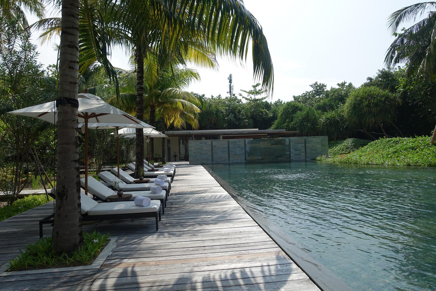 A sunny outdoor pool at Park Hyatt Maldives with a wooden deck, lounge chairs, and tropical foliage.