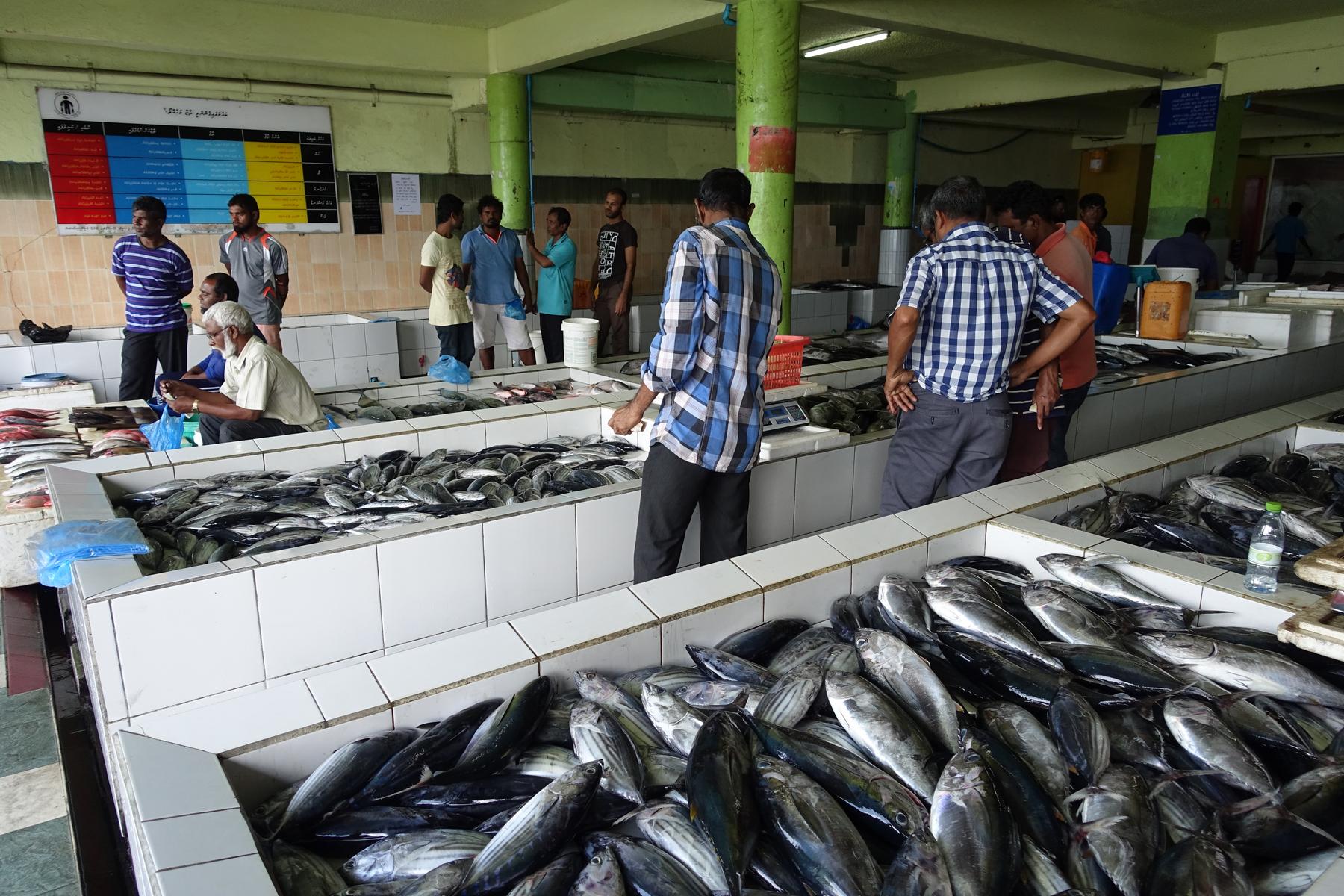 An indoor fish market with several men standing among large displays of fish.
