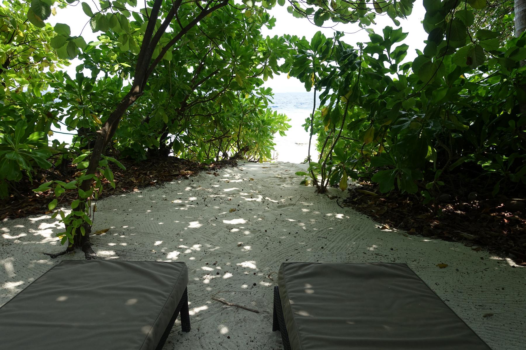 Two lounge chairs sit on a sandy path leading through lush green foliage to the ocean.