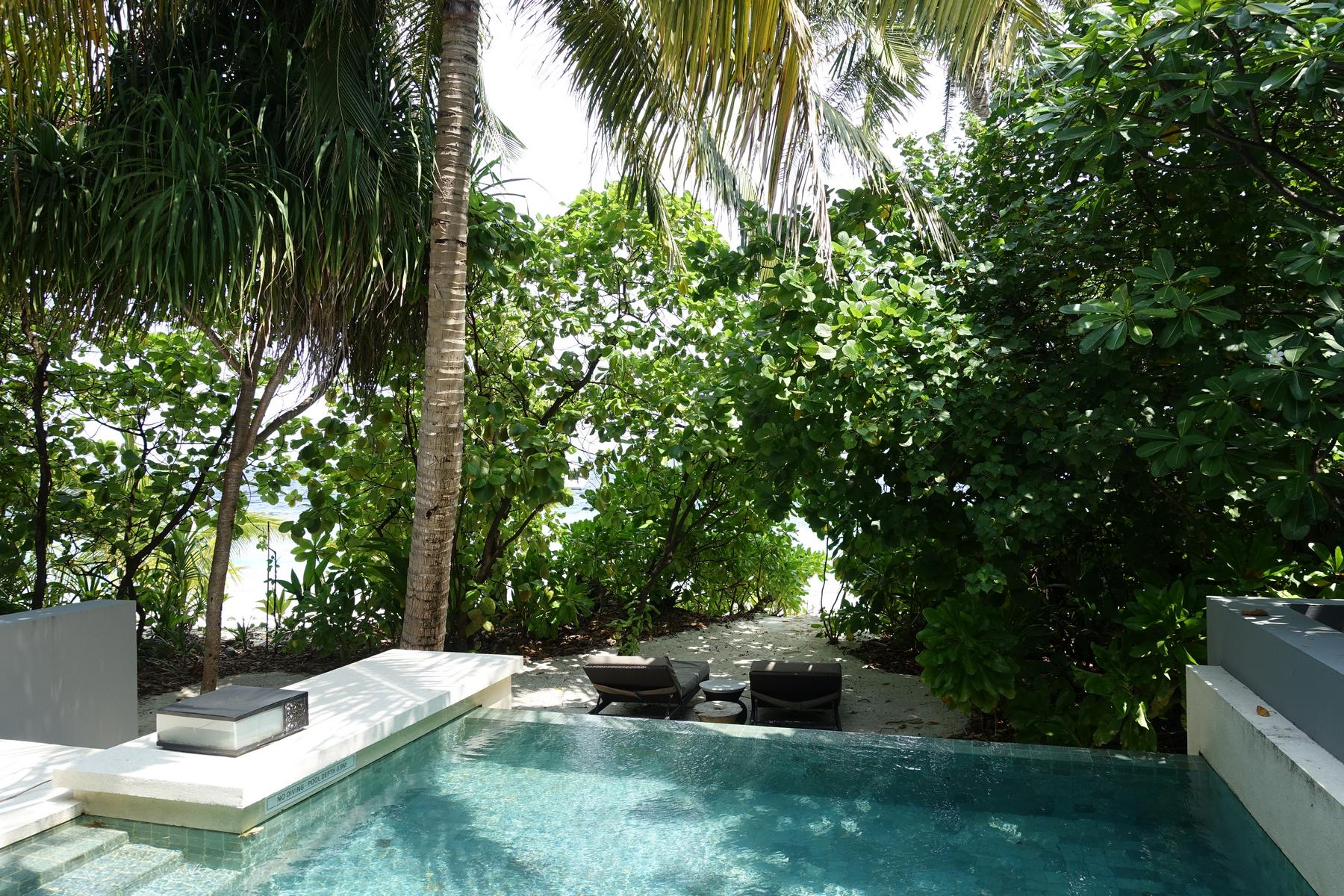 View from a Park Hyatt Maldives pool villa showing a private pool, beach path, and ocean through tropical trees.