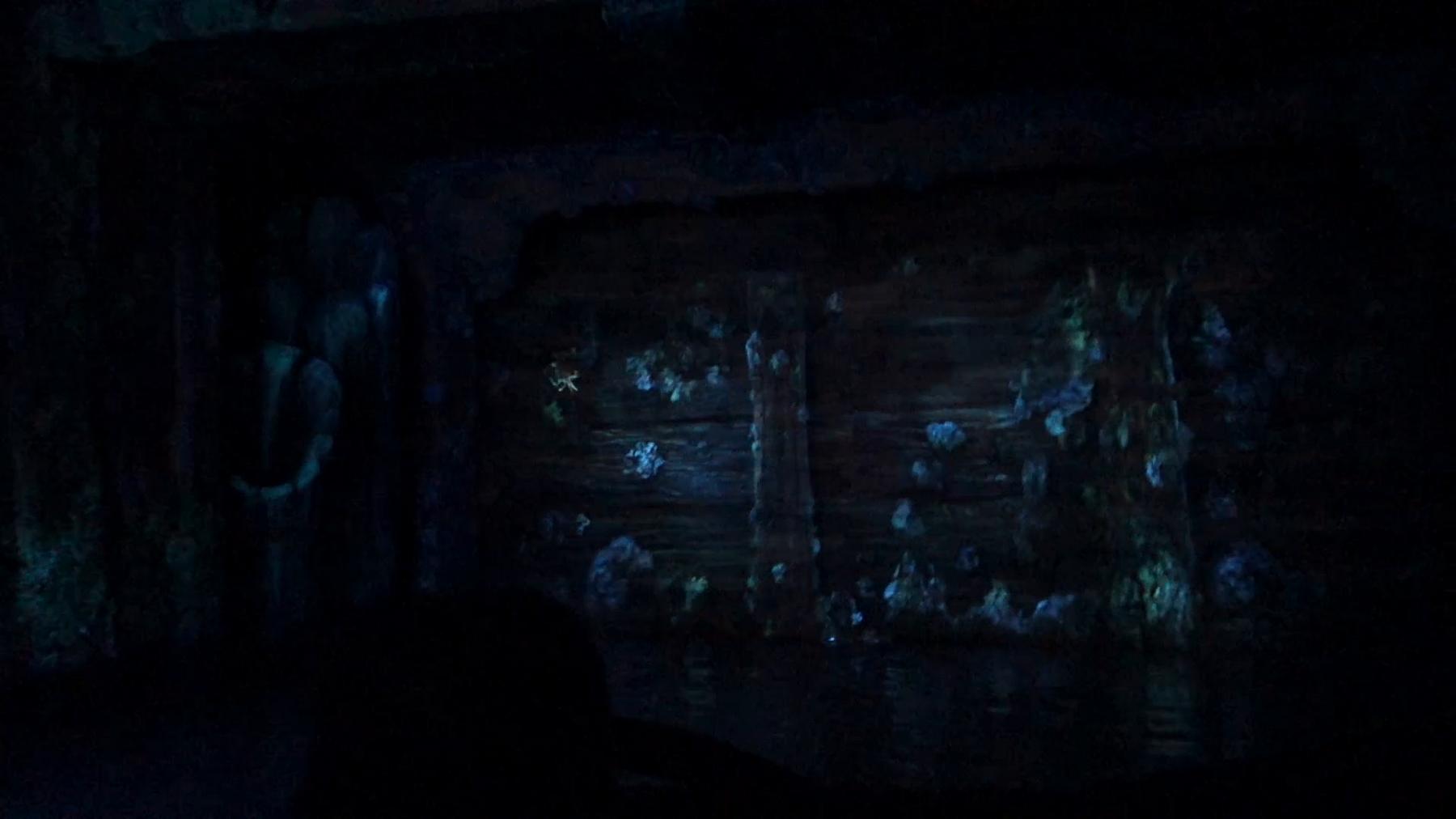 Dark Pirates of the Caribbean ride scene with a glowing ghostly figure and blue illuminated walls.