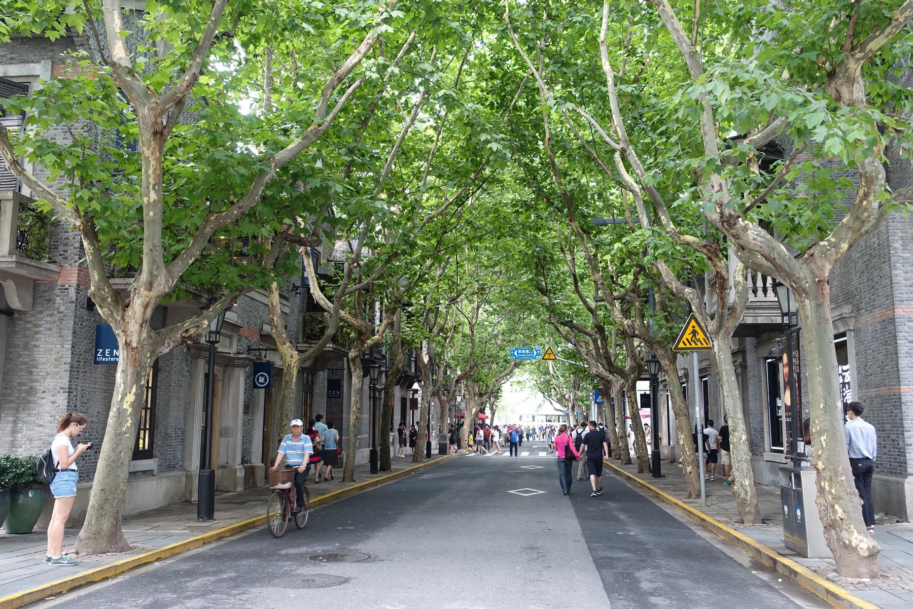 A street in Shanghai shaded by a canopy of trees with people walking and a man on a bicycle.