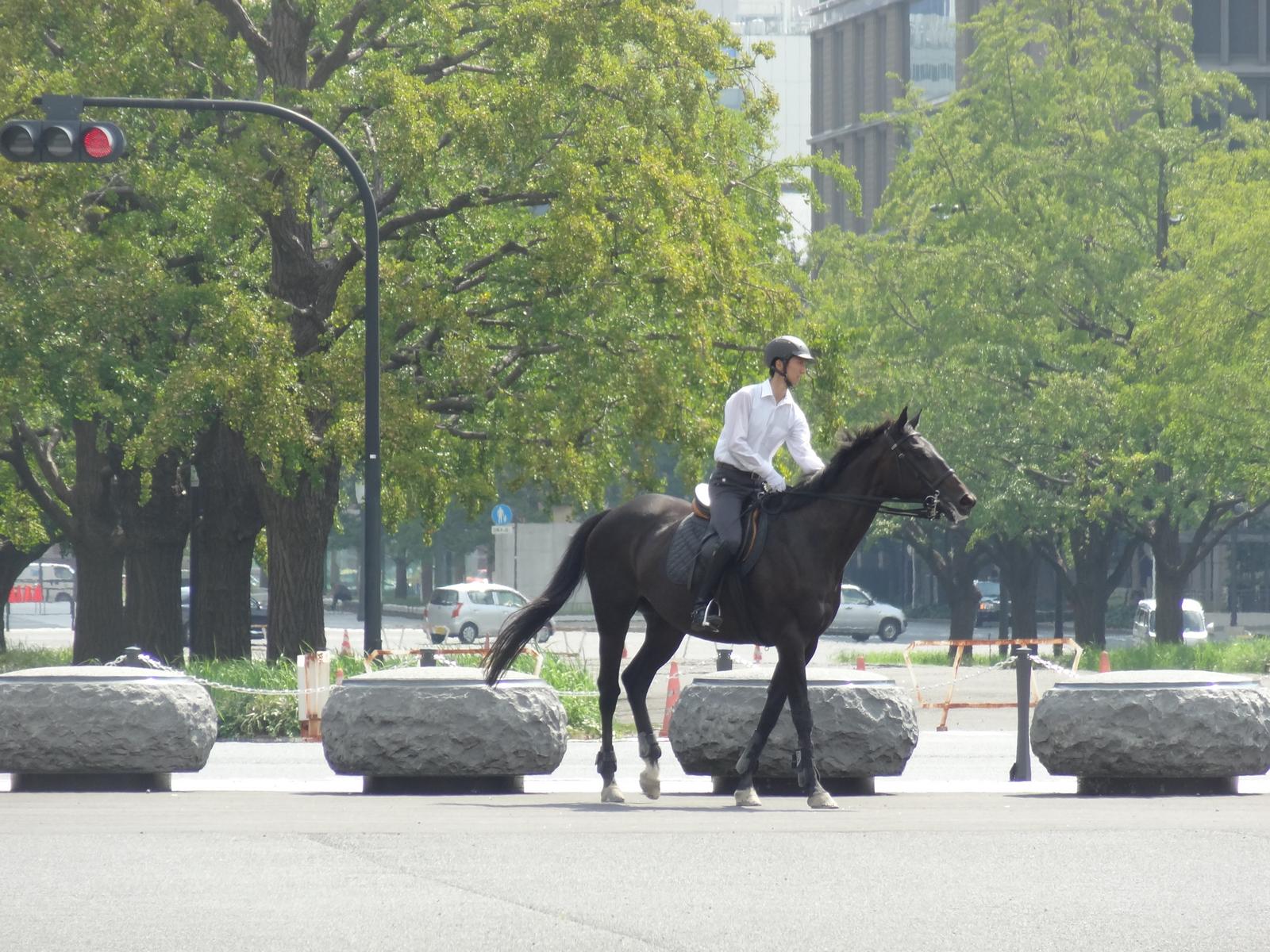 A person on horseback walks along a paved path in Tokyo with trees and a red traffic light.