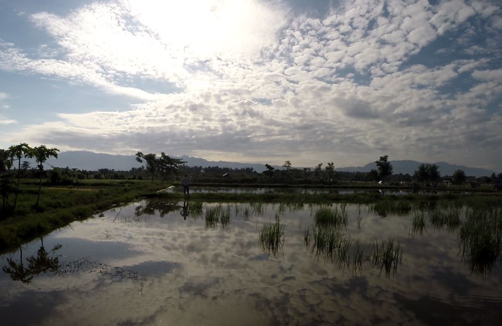 A person stands in a flooded field reflecting a cloudy sky, with distant mountains under a bright sky.