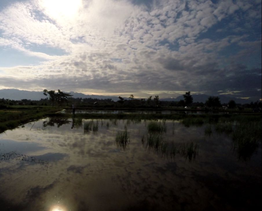 A cloudy sky with a bright sun reflects in a watery field during a solar eclipse.