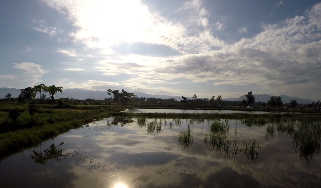 Rice paddies reflect a bright, cloudy sky with distant mountains and trees.