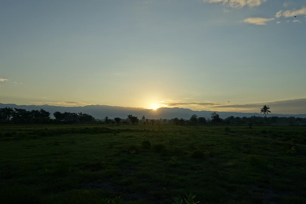 Sunrise over a green field with distant mountains and scattered trees.