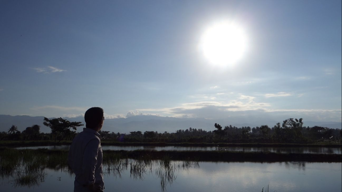 A person looks up at the bright sun over a reflective field, trees, and distant mountains in Palu, Indonesia.