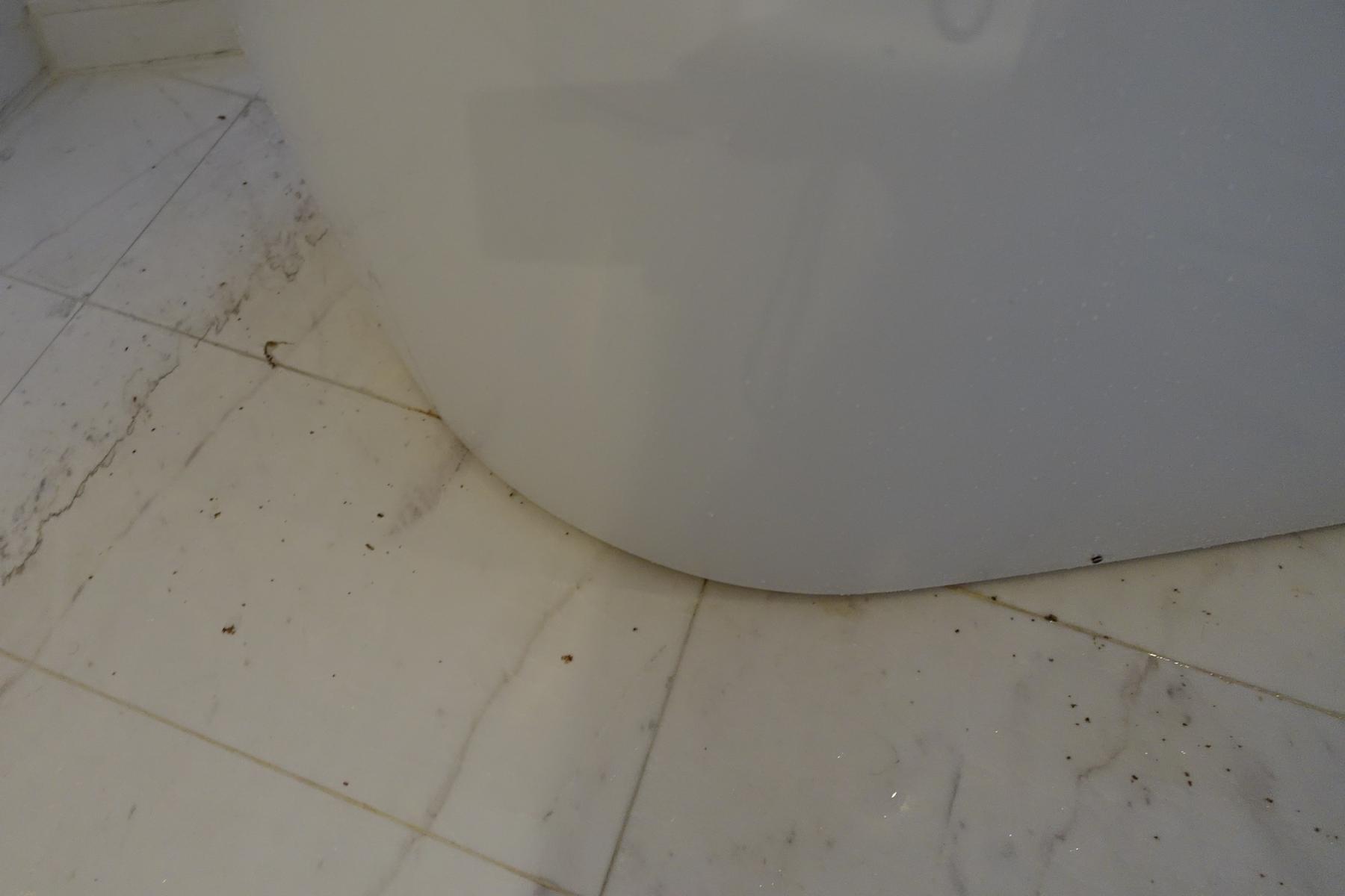 A dirty tiled bathroom floor with dark debris around the base of a white fixture.