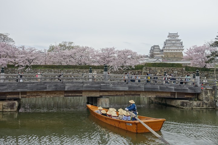 A boat with passengers on a moat below a bridge, with cherry blossoms and Himeji Castle in the background.
