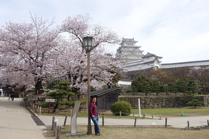 A woman leans against a lamppost, with Himeji Castle rising behind abundant pink cherry blossoms.