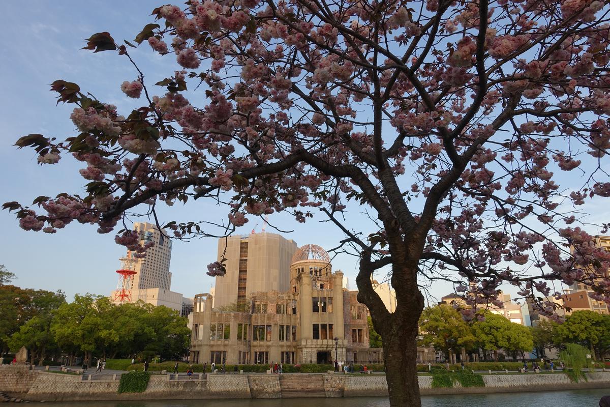 Cherry blossoms frame the Atomic Bomb Dome in Hiroshima.