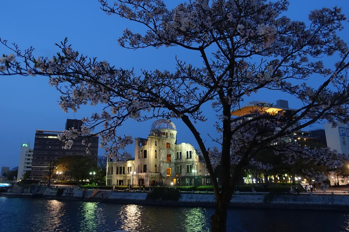 Cherry blossoms frame the illuminated Atomic Bomb Dome in Hiroshima at dusk.