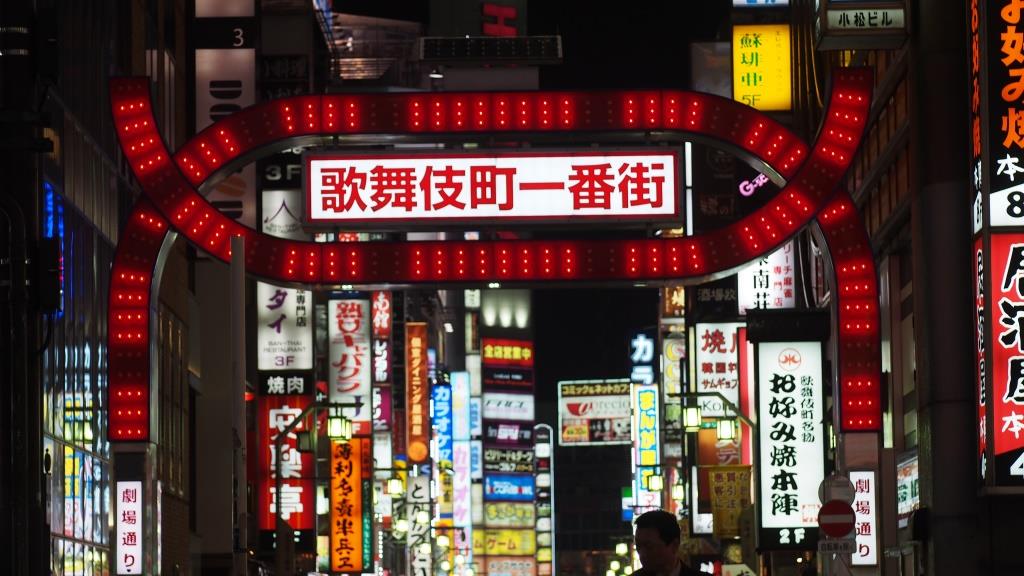 A night street scene in Tokyo's Kabukicho district, featuring a prominent red illuminated archway and numerous colorful neon signs.