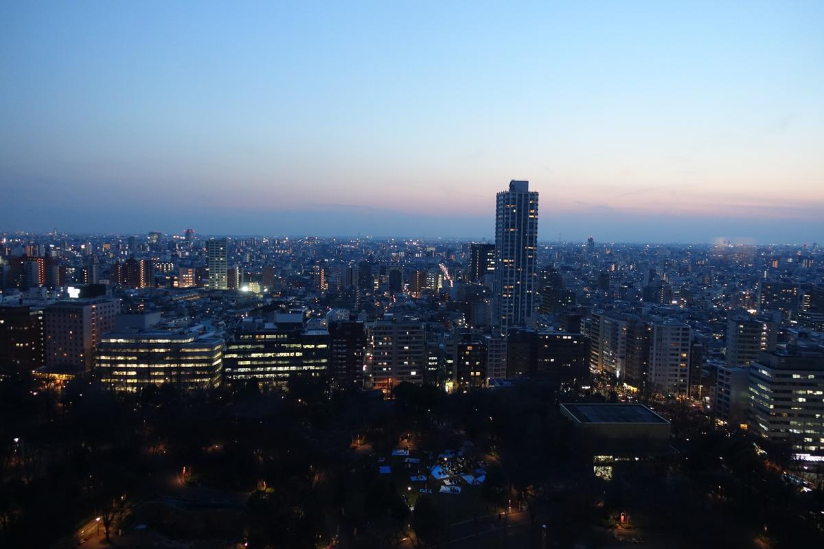 Dusk cityscape view of Tokyo with illuminated buildings stretching to the horizon.