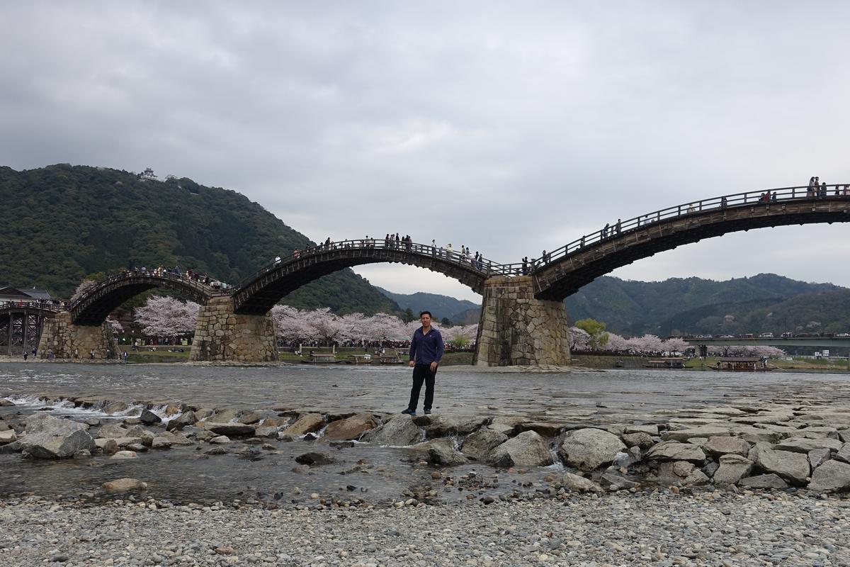 A man stands in a rocky river with the arched Kintai Bridge, cherry blossoms, and Iwakuni Castle on a mountain behind him.