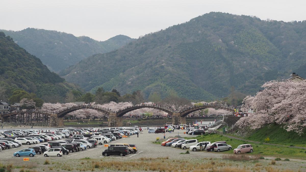 The arched Kintai Bridge in Iwakuni is surrounded by cherry blossoms, with mountains in the background and a busy parking lot in the foreground.