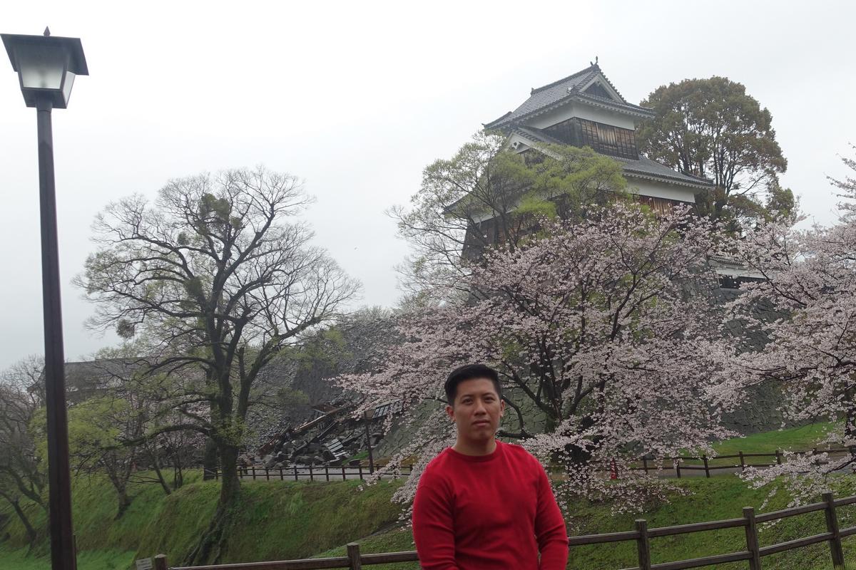 A man in a red shirt stands in front of Kumamoto Castle and blooming cherry trees.