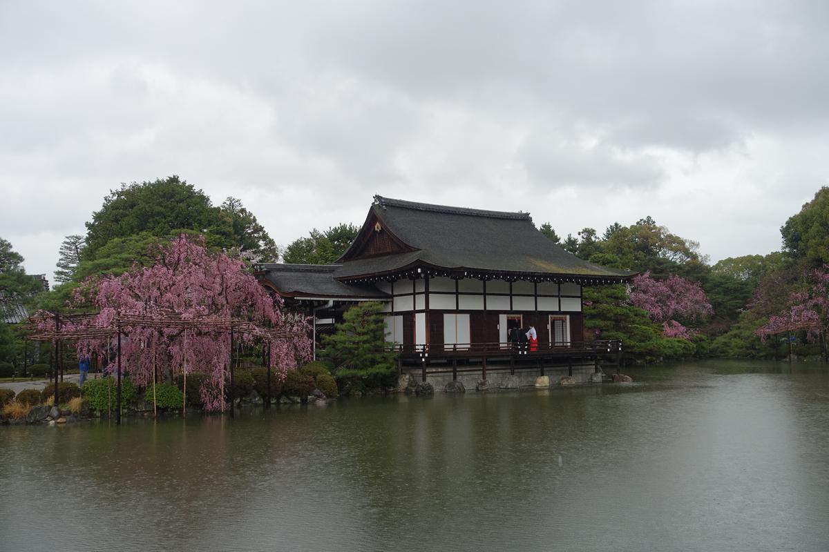 Heian Shrine's pond garden with a traditional building and vibrant pink weeping cherry blossoms.