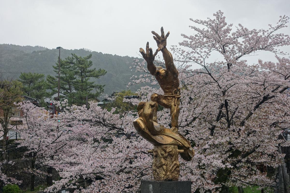 A bronze statue stands amidst abundant pink cherry blossoms.