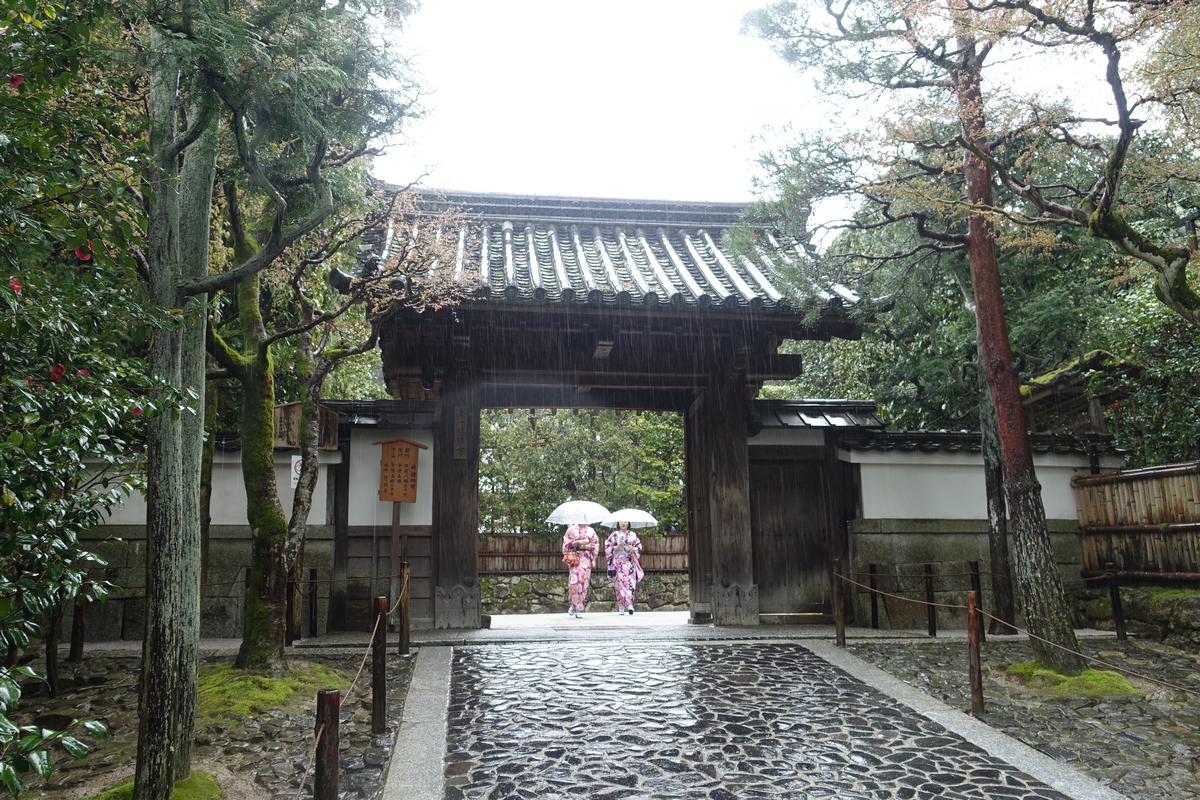 Two people in kimonos with umbrellas walk through a traditional Japanese gate on a rainy day.