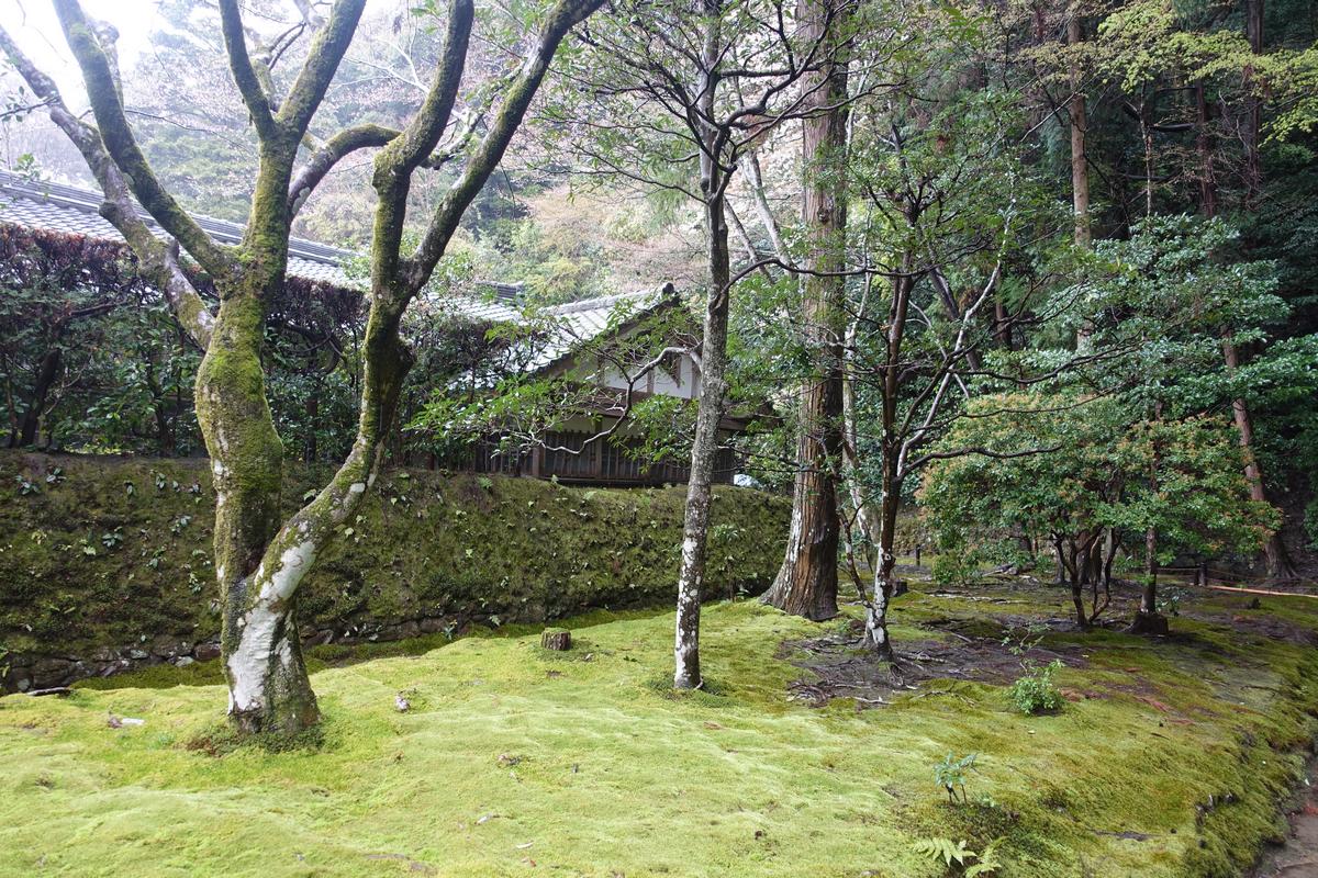 A mossy Japanese garden with a traditional house visible behind lush trees.