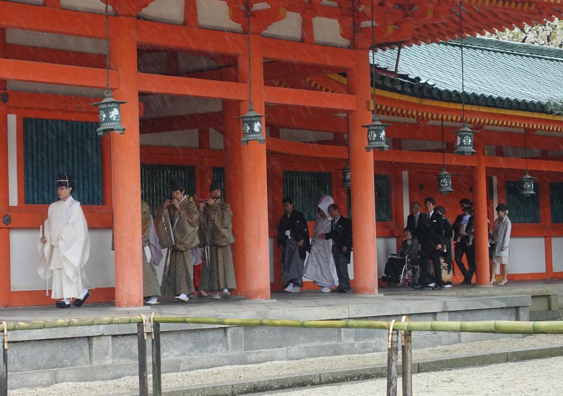 A procession with traditional Japanese musicians and a wedding couple moves under the orange eaves of Heian Shrine in light rain.