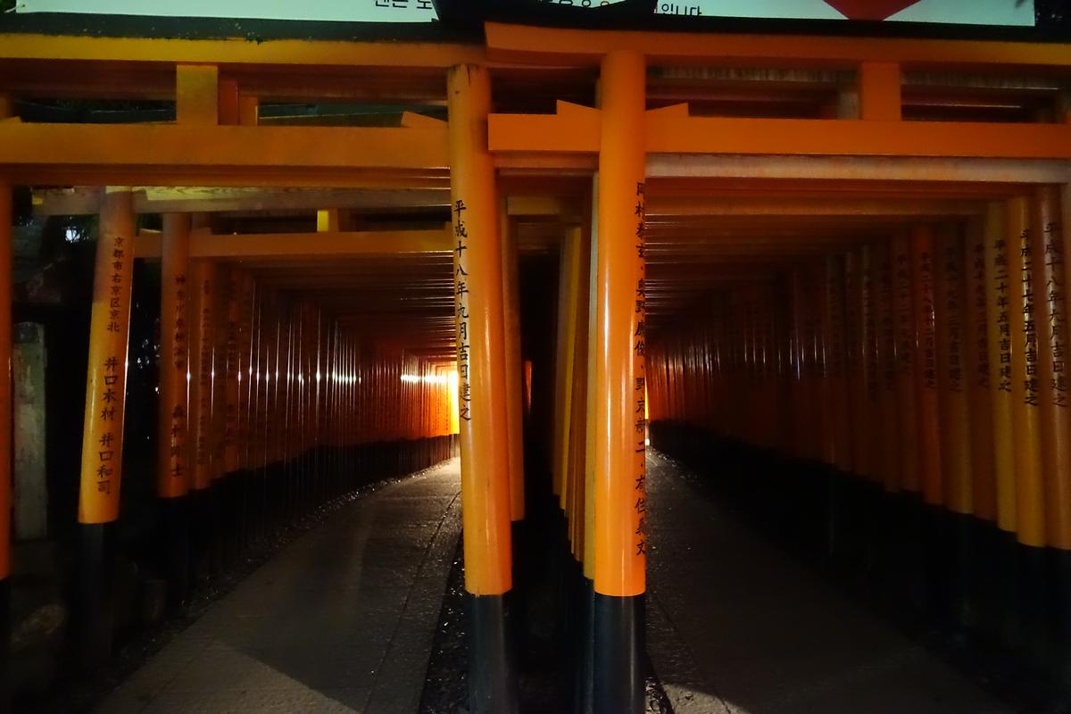 Orange torii gates form a lit tunnel at Fushimi Inari Shrine at night.
