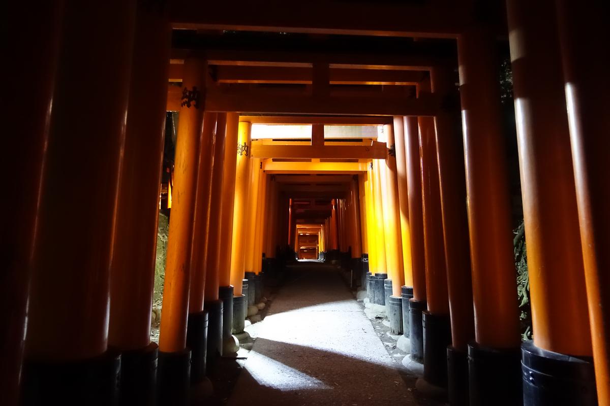 A pathway through many illuminated orange torii gates at Fushimi Inari Shrine at night.
