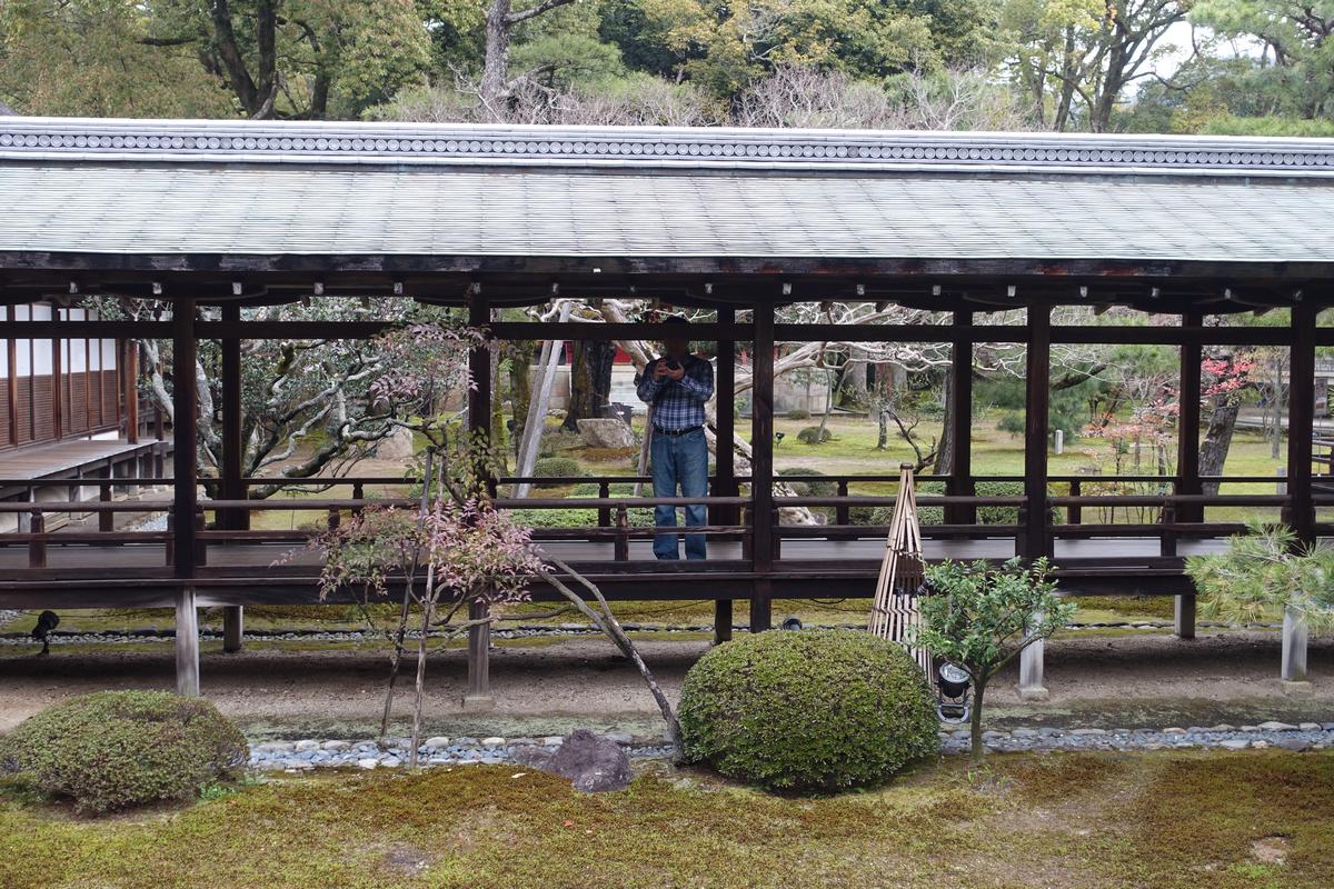 A man takes a photo from a traditional covered walkway overlooking a Japanese garden.