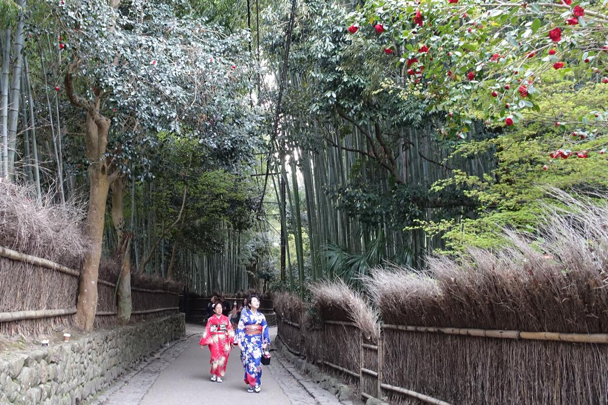 Two women in kimonos walk along a path through a bamboo grove with red flowers blooming on nearby trees.