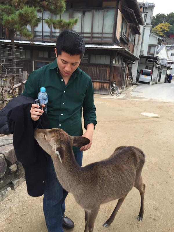 A man in a green shirt watches as a deer sniffs his jacket on Miyajima Island.