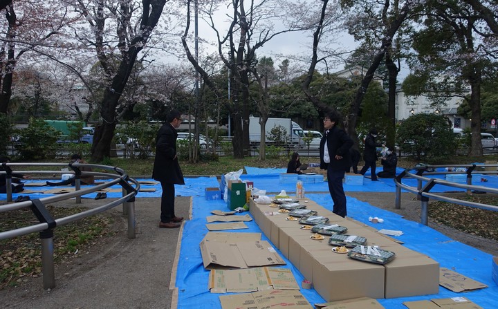 People having a picnic on blue tarps under cherry blossom trees in a park.