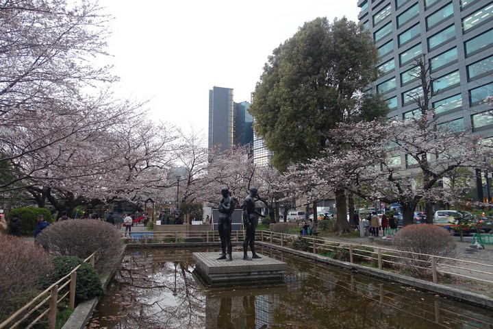Cherry blossom trees blooming around a pond with two statues, backed by city buildings.
