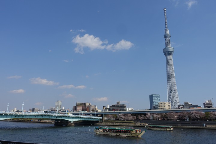 Tokyo Skytree towers over the Sumida River with a bridge, boats, and cherry blossoms along the bank.