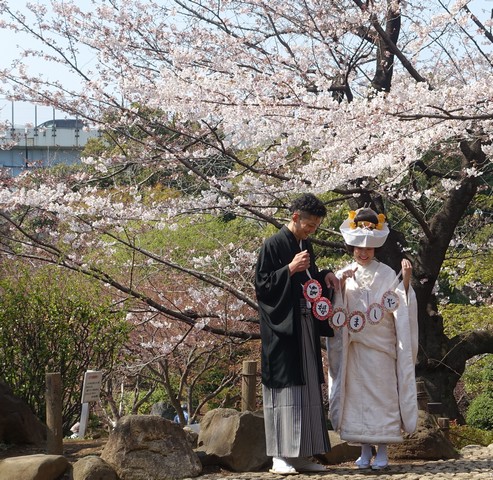 A Japanese couple in traditional wedding attire holds celebratory signs under cherry blossoms.
