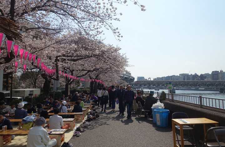 People gather under cherry blossom trees with pink banners along the Sumida River.