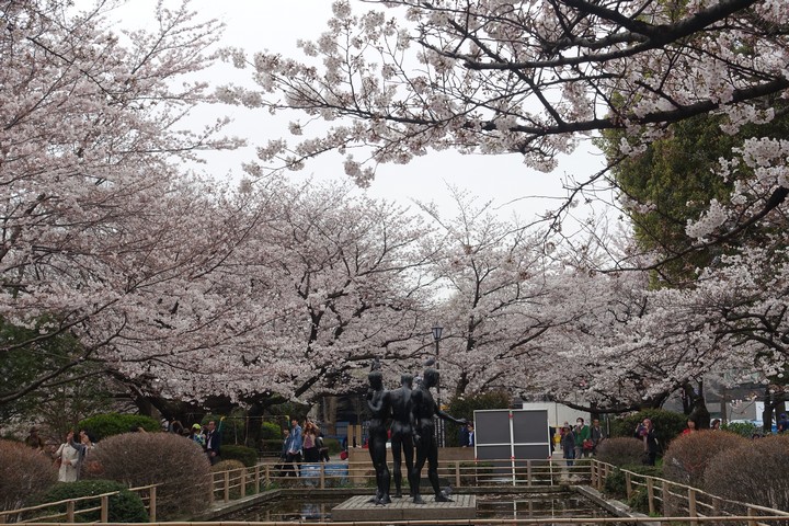 Cherry blossom trees surround a dark sculpture of three figures in a park.
