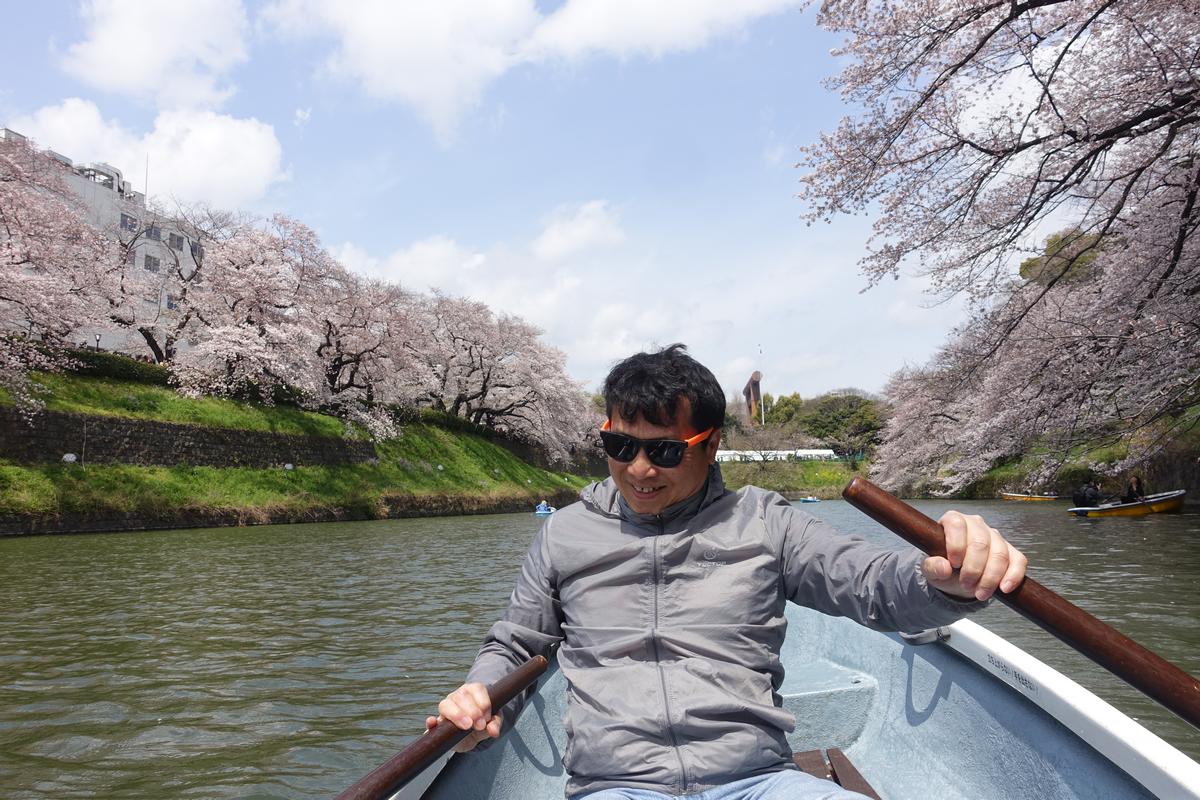 Man smiles while rowing a boat surrounded by cherry blossoms at Chidorigafuchi.