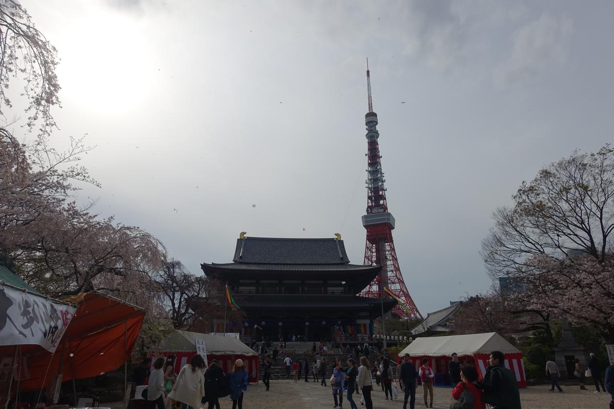 Tokyo Tower overlooks a bustling temple area adorned with cherry blossoms.