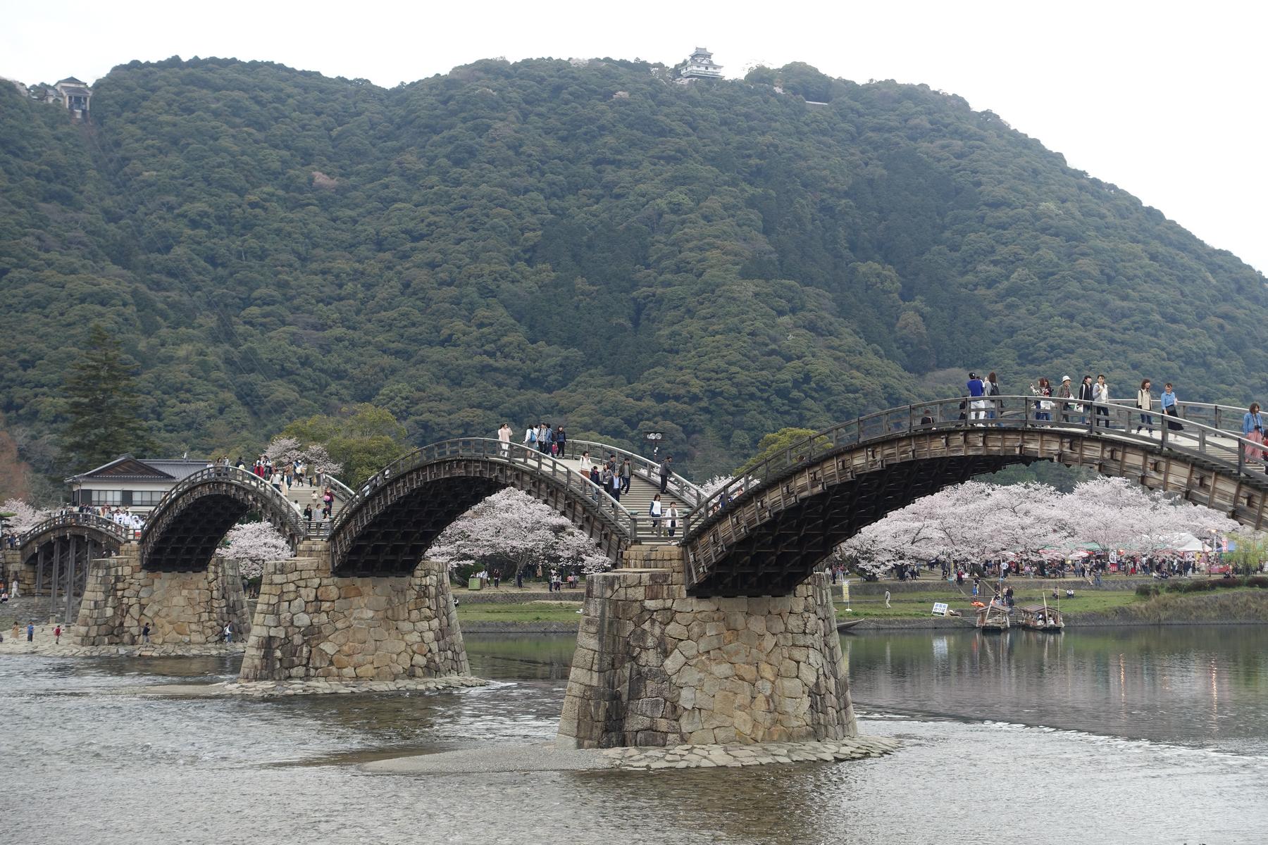 The multi-arched Kintai Bridge spans a river lined with cherry blossoms, with people walking on it and a castle visible on a distant mountain.