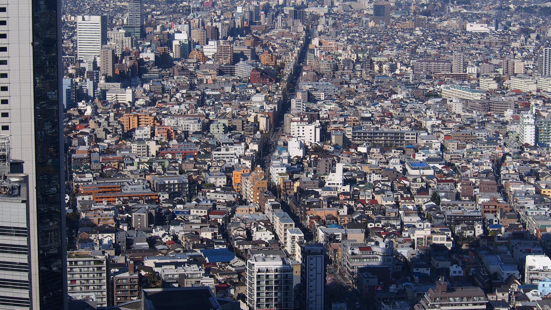 A dense Tokyo cityscape seen from above, with a long street cutting through countless buildings.