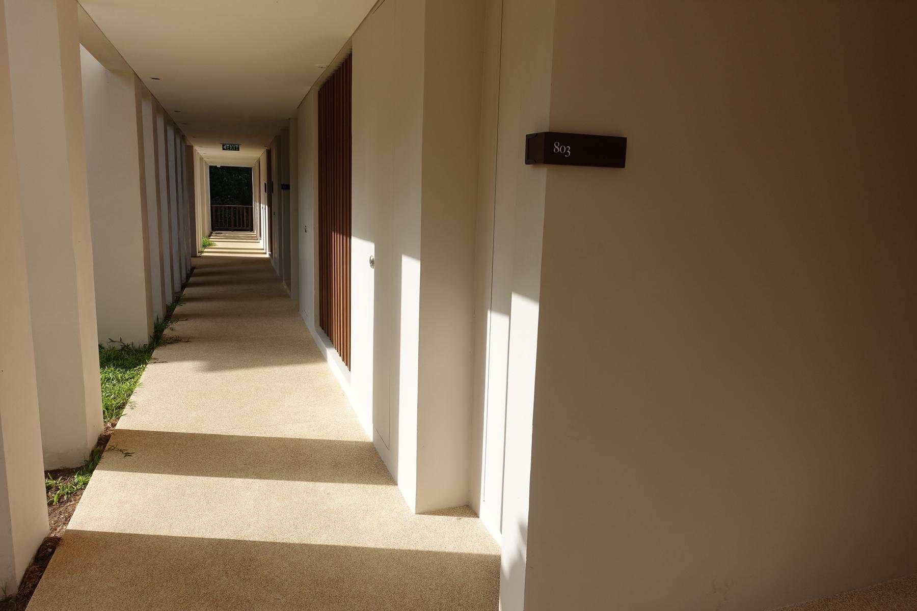 A long hotel corridor bathed in sunlight and shadow, featuring room number 803 and an exit sign at the far end.