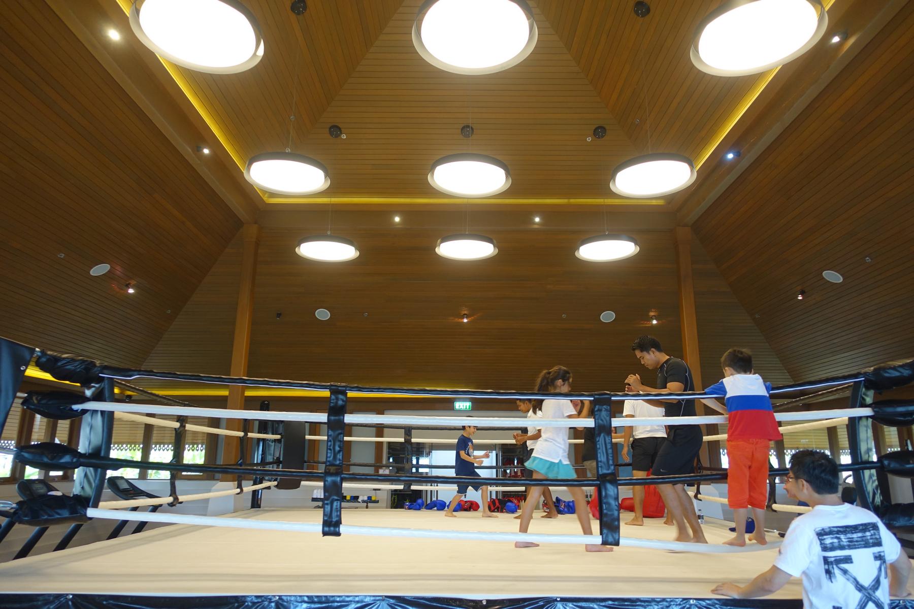 Adults and children train in a modern boxing ring with a high wooden ceiling.