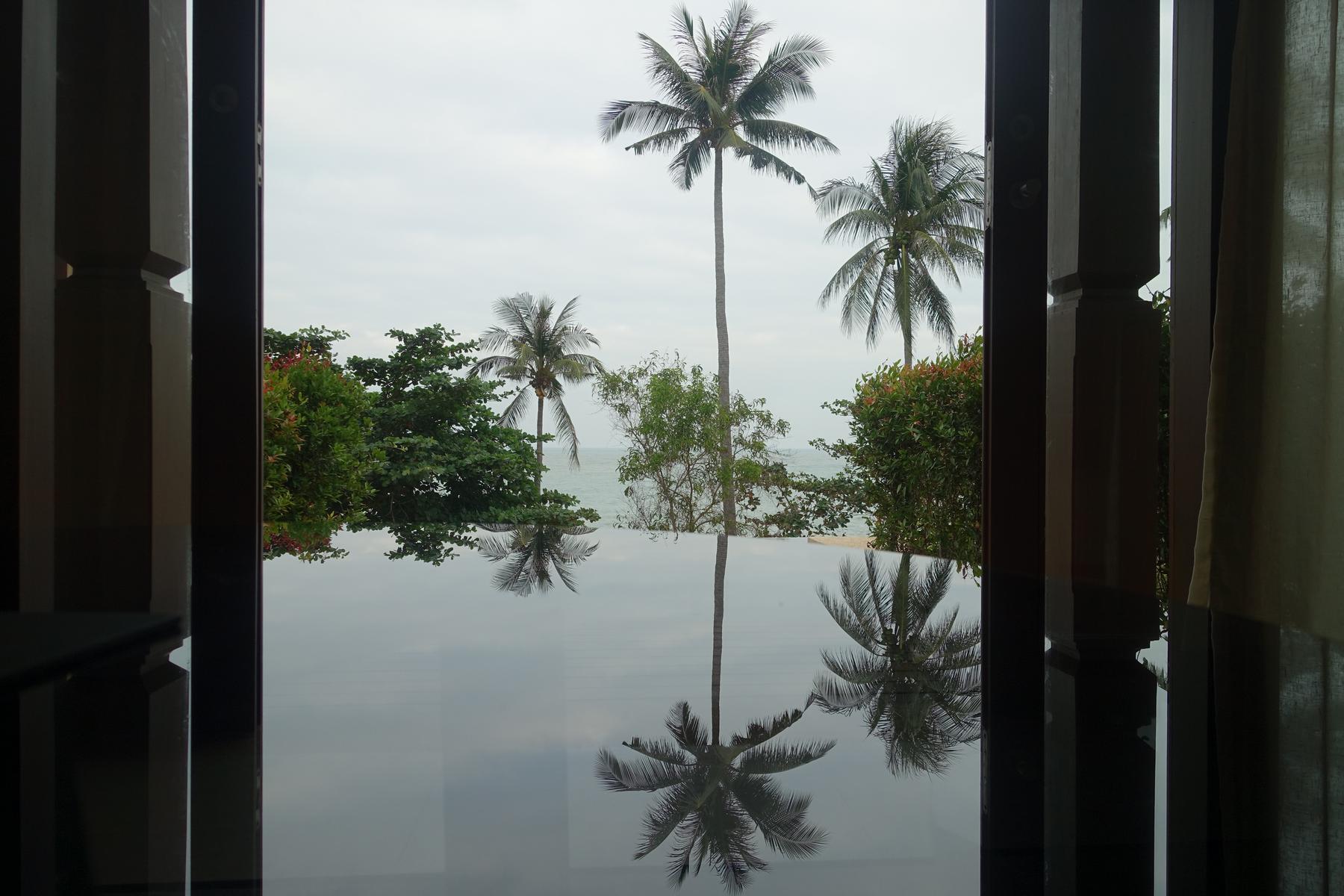 A tropical view from a room with palm trees and the ocean reflected in an infinity pool.