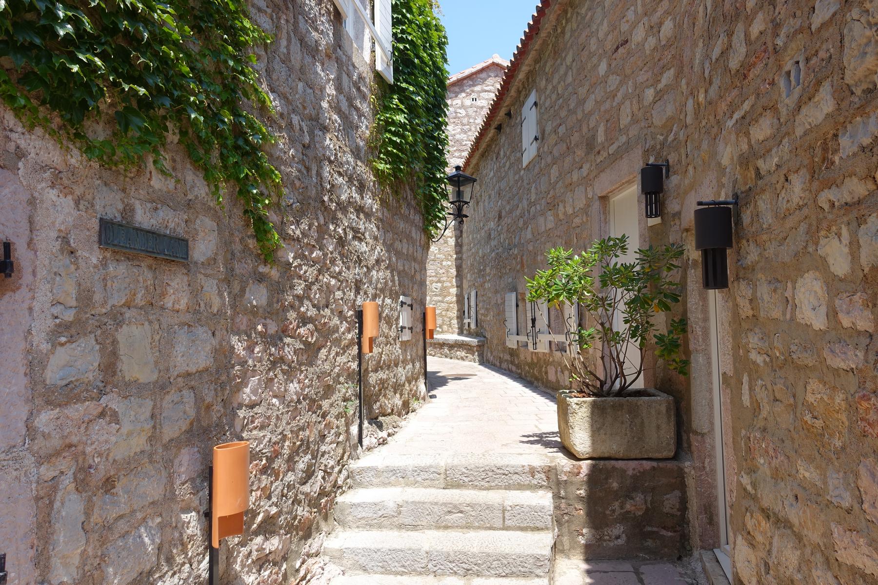 A narrow, sunlit stone alleyway with steps, ivy, and a potted plant on Sveti Stefan Islet.